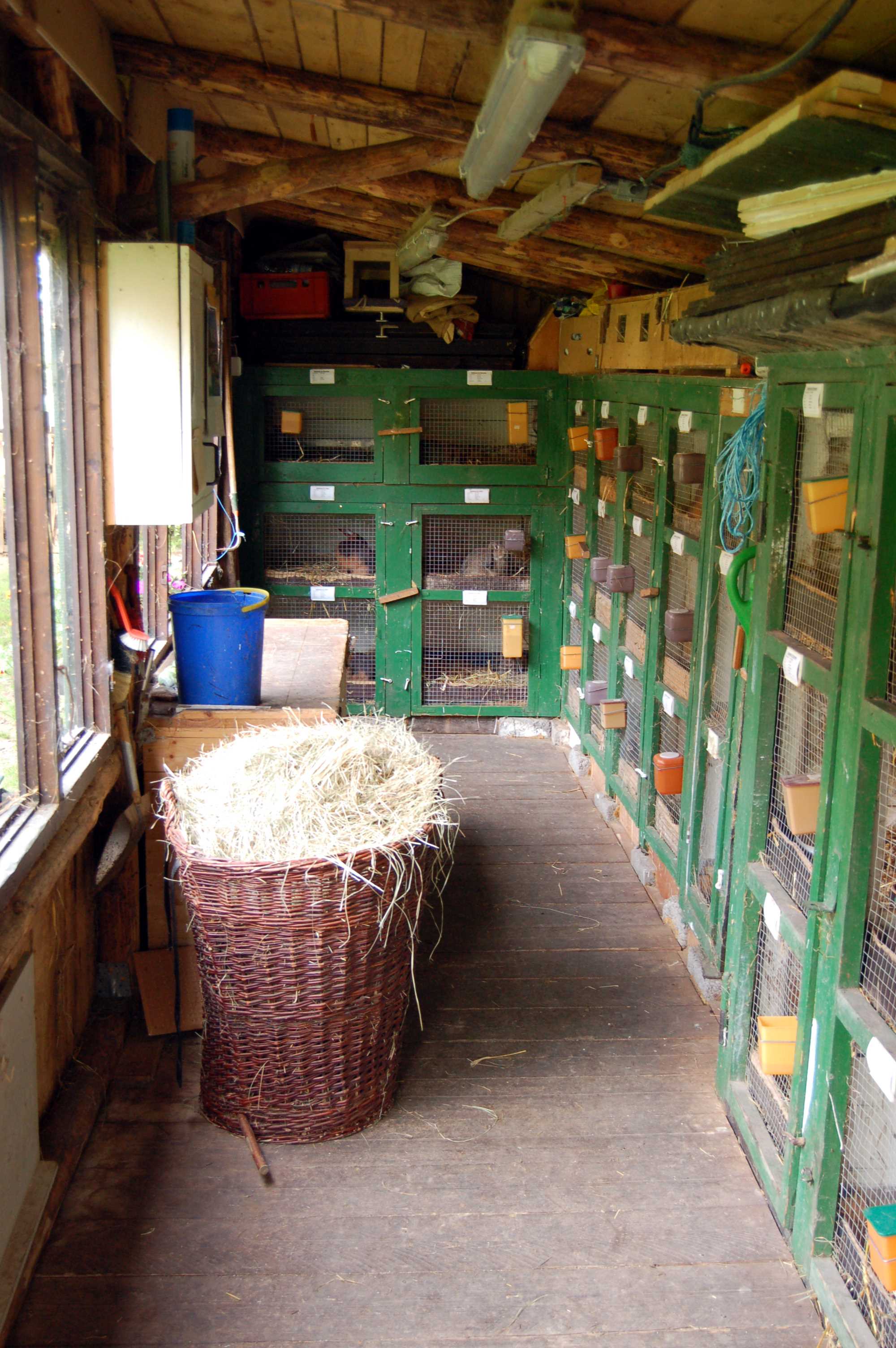 stall1